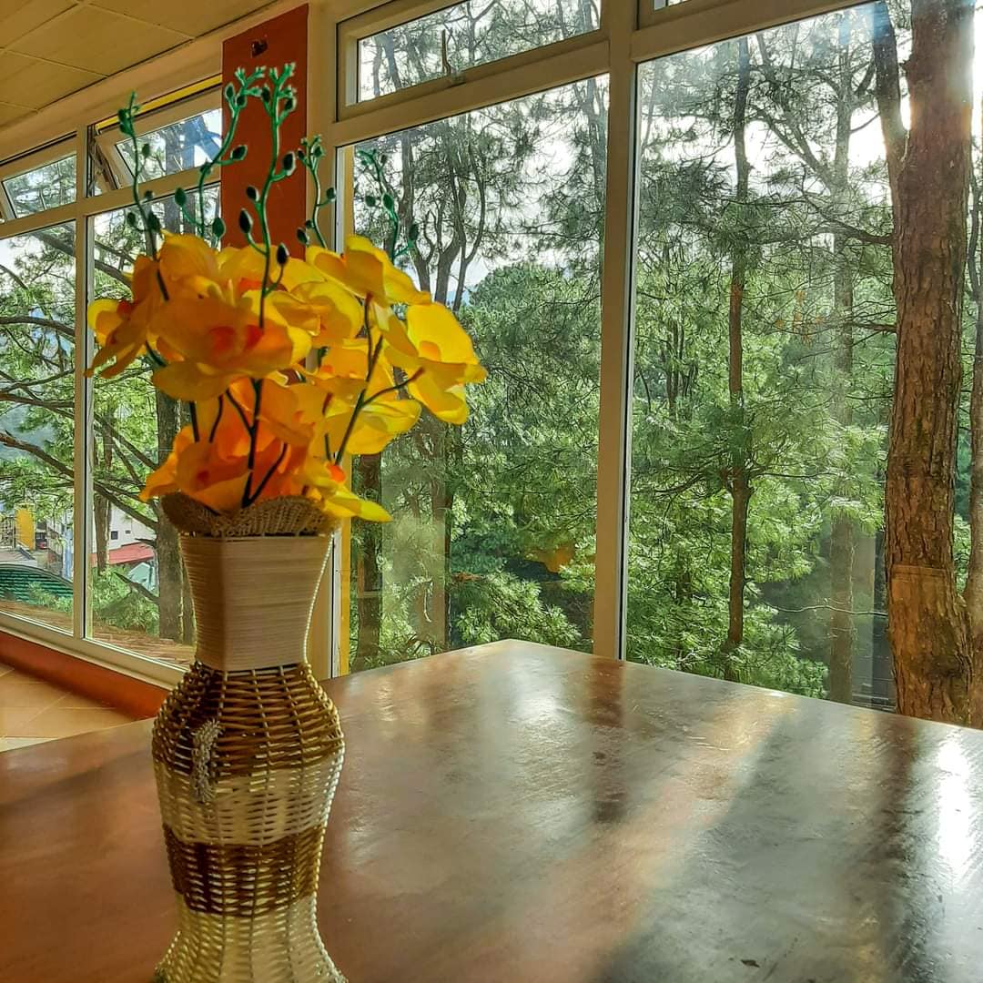 A table is positioned near large windows framed by tall trees, providing a view of the natural surroundings. A vase filled with yellow flowers sits on the table, adding a touch of color to the serene indoor space.