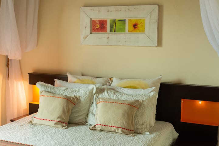 Suite Coral - Luz Solar