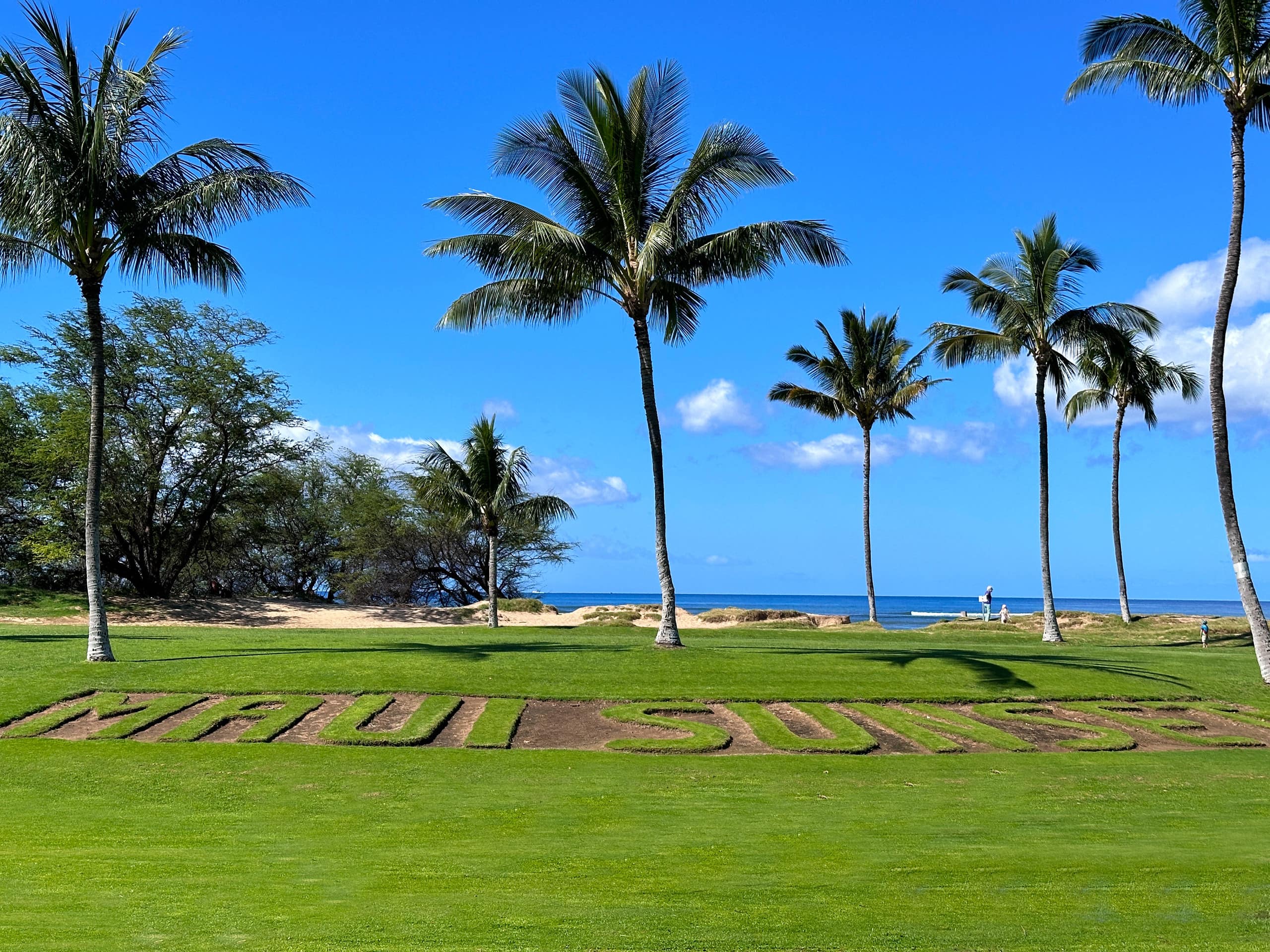 Condo in Kihei · ★4.84 · 1 bedroom · 3 beds · 2 baths - Image 35