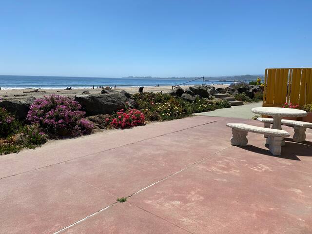 Beautiful Beach Views 214 gallery image 3