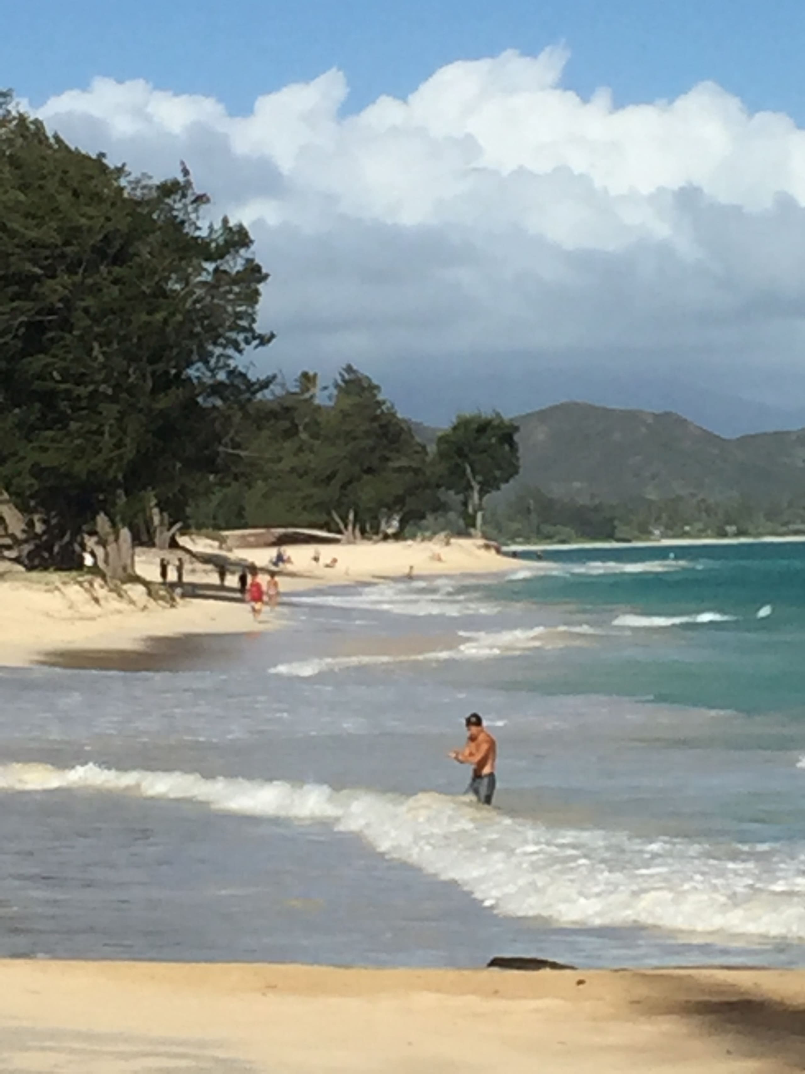 Home in Kailua · ★4.79 · 1 bedroom · 2 beds · 1 private bath - Image 5