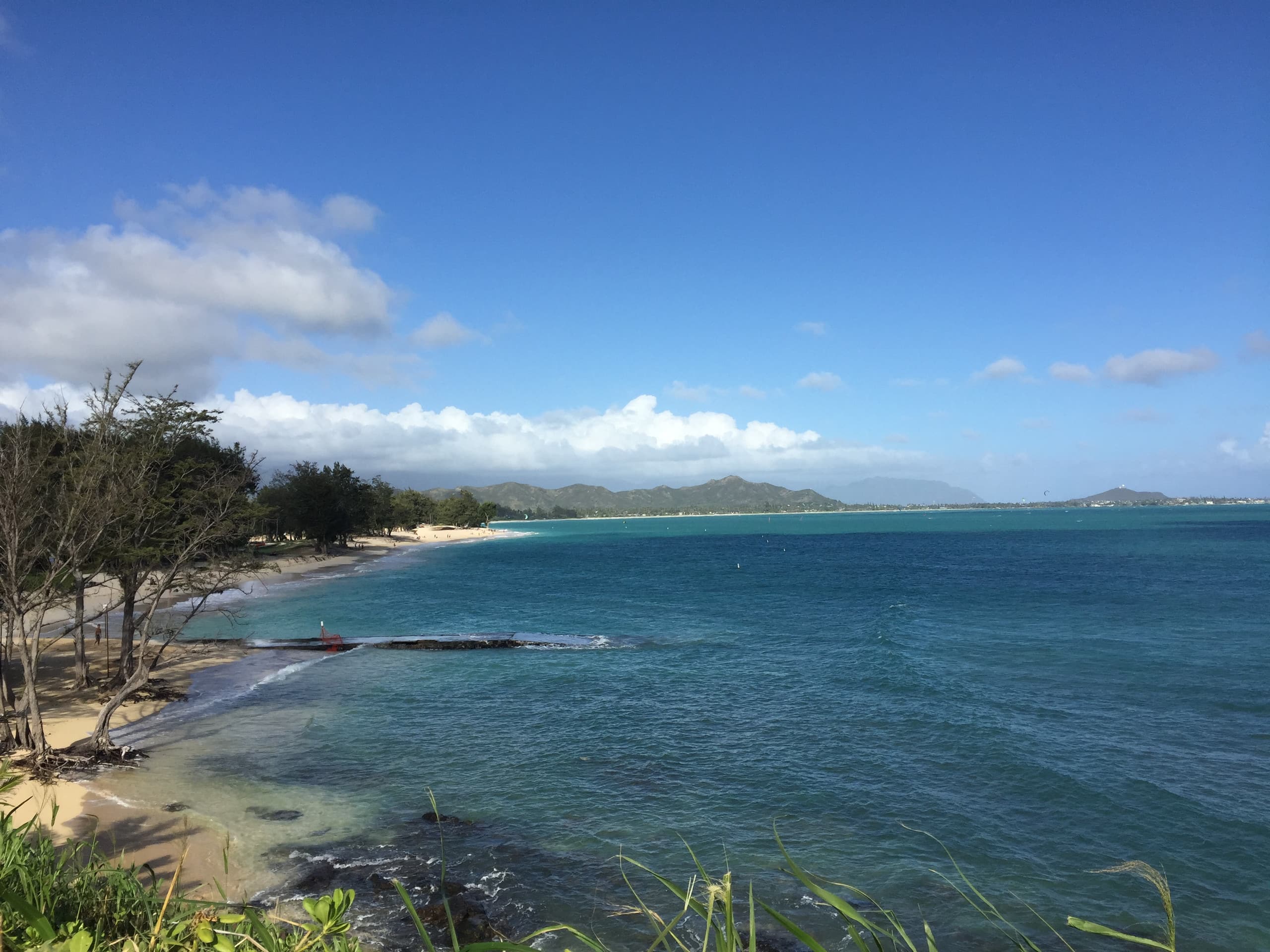 Home in Kailua · ★4.79 · 1 bedroom · 2 beds · 1 private bath - Image 4