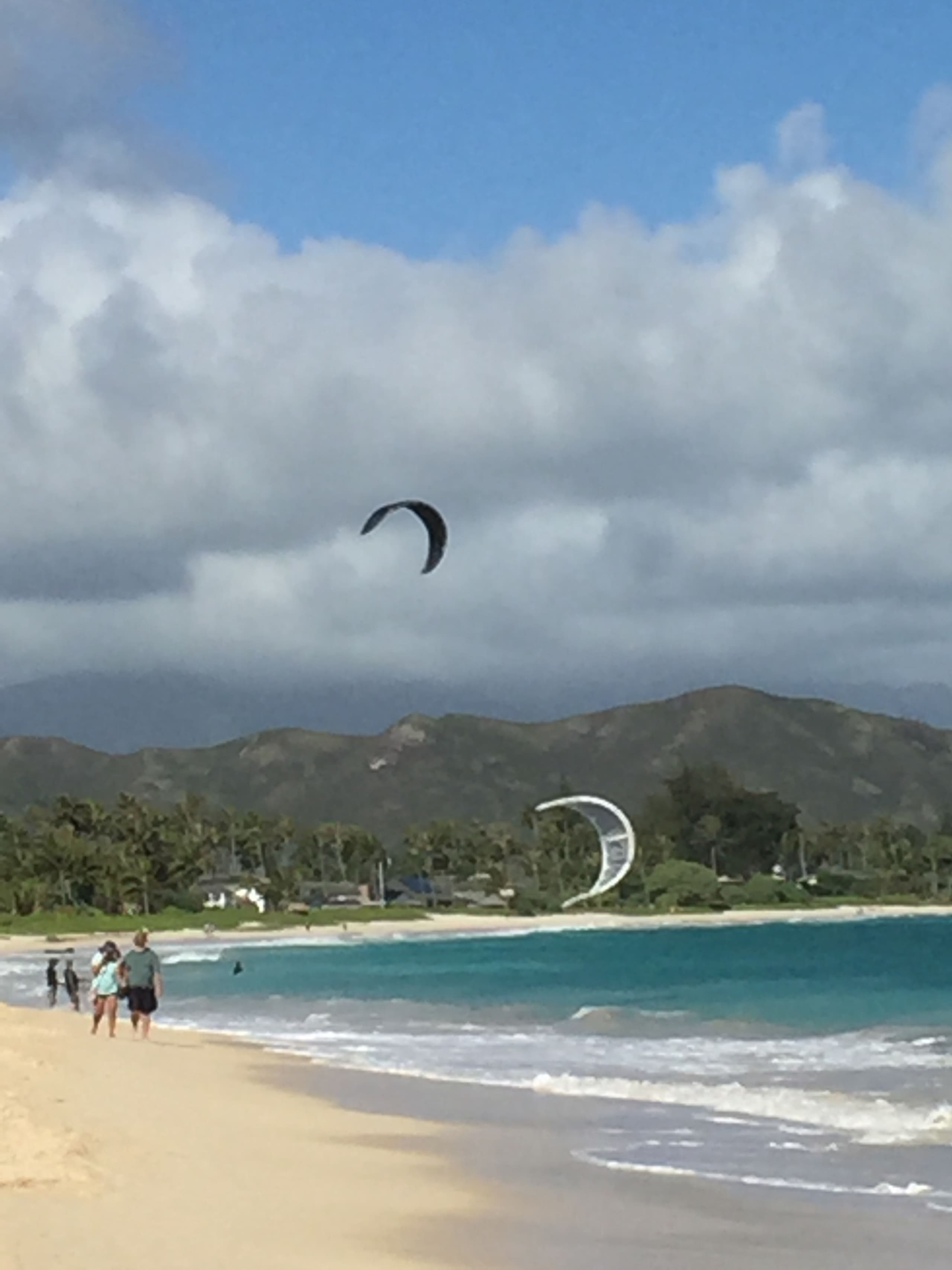 Home in Kailua · ★4.79 · 1 bedroom · 2 beds · 1 private bath - Image 2