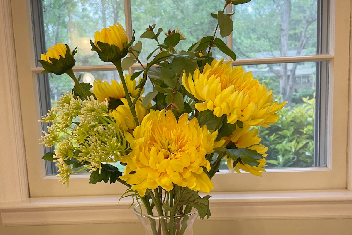 一点点黄色可以真正照亮一天，你不同意吗？  北卡罗来纳州下了很多雨。 森林和花卉可以证明这一点！  我们认为，将成长和生活的感觉带入每个房间都很重要！