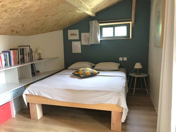Habitación 1