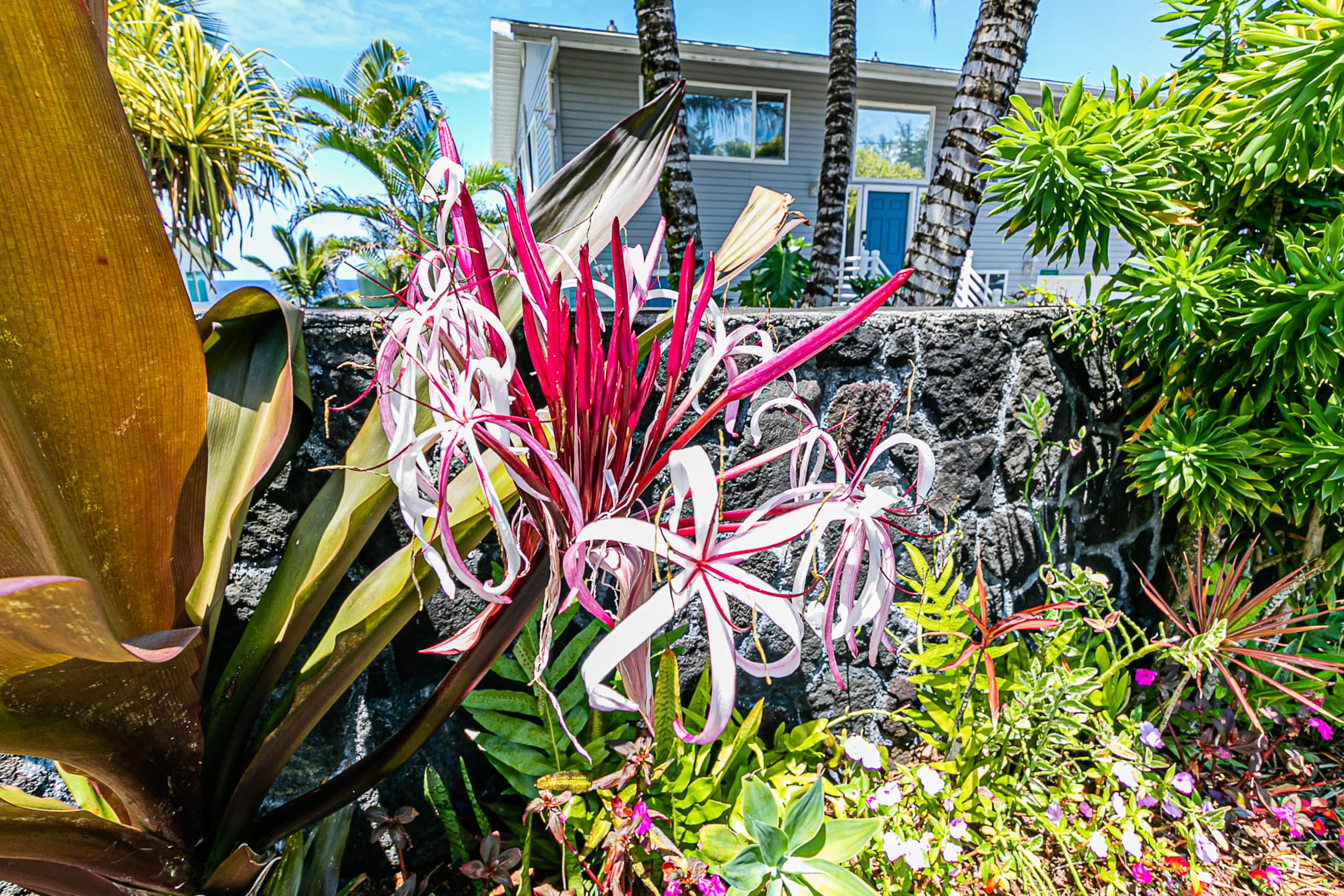 Home in Keaau · ★4.95 · 2 bedrooms · 3 beds · 1 bath - Image 77