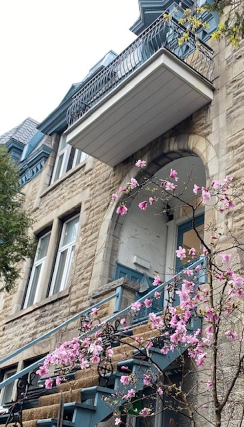 The exterior of a historical heritage building is featured, showcasing intricate stonework and a charming balcony. Pink blossoms from nearby trees frame the entrance, adding a touch of natural beauty to the urban setting, while large windows allow for ample natural light.