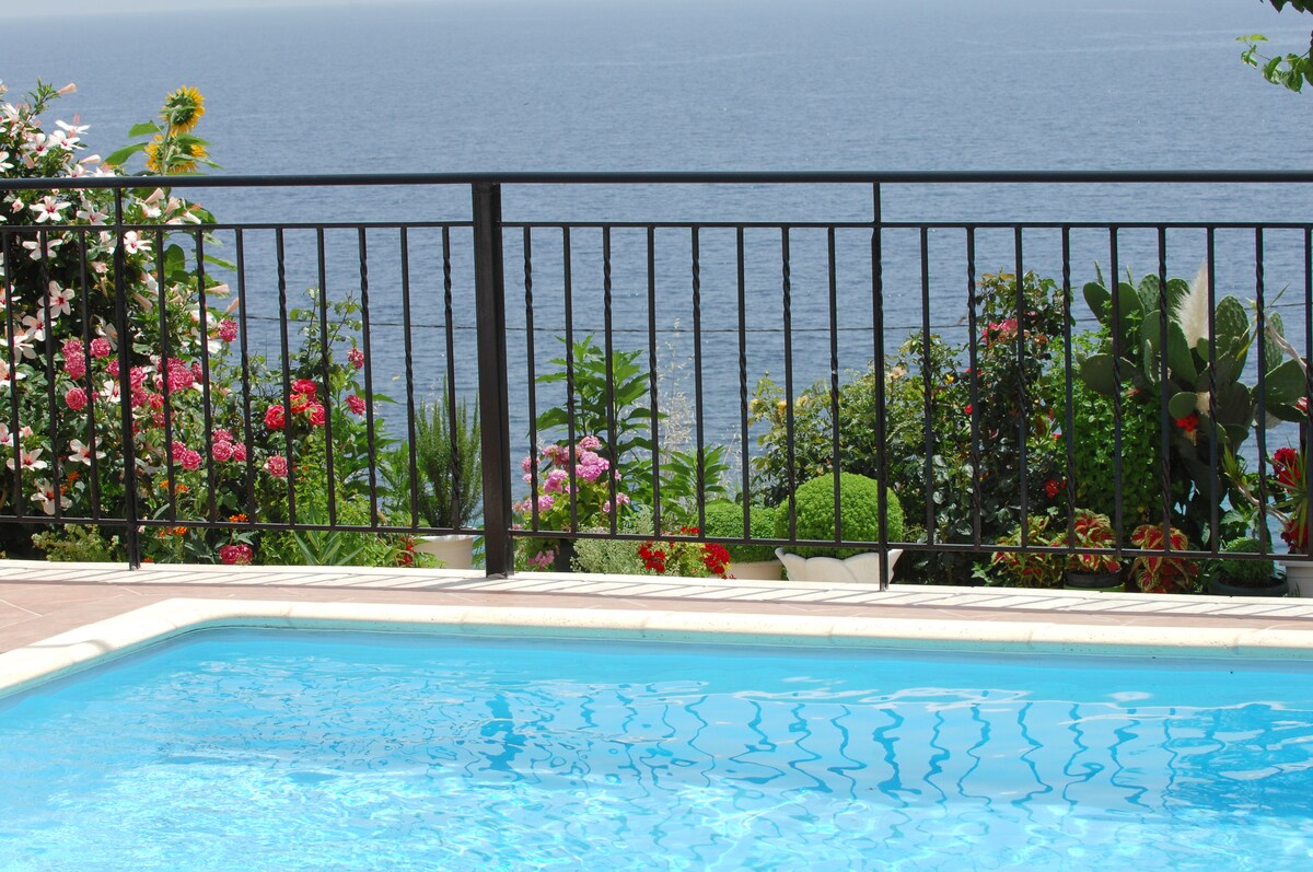 A clear swimming pool reflects the azure sky, bordered by a black railing. Vibrant flowers and lush greenery create a colorful backdrop, offering a view of the serene sea beyond.