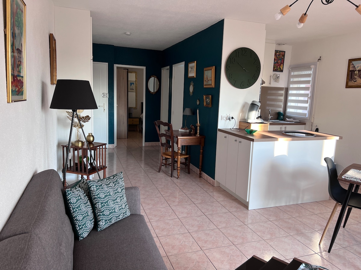 Proprietà Airbnb di successo: Austerlitz T2 with terrace + secure garage a Béziers