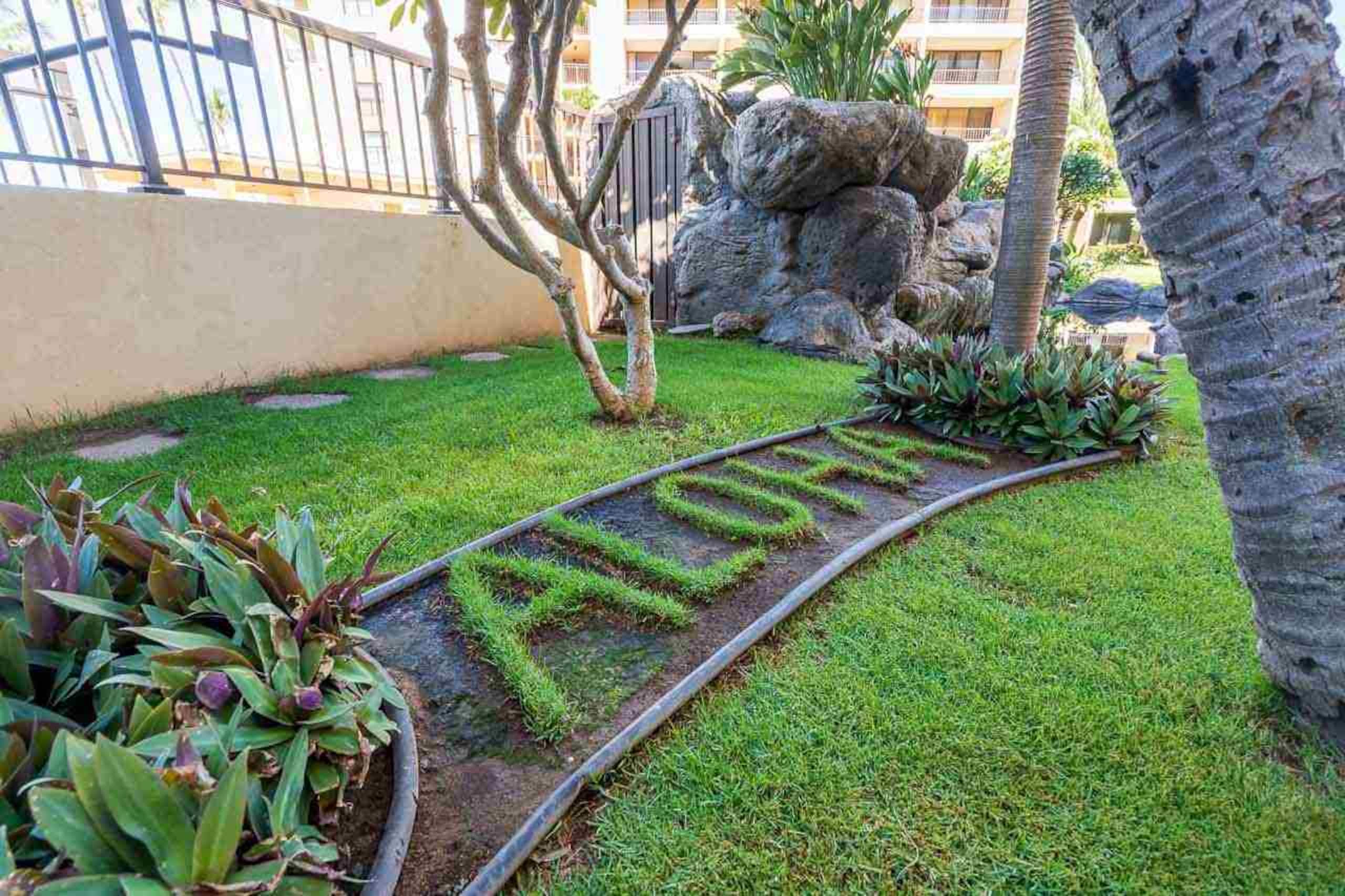 Condo in Kihei · ★4.95 · 1 bedroom · 2 beds · 1 bath - Image 22