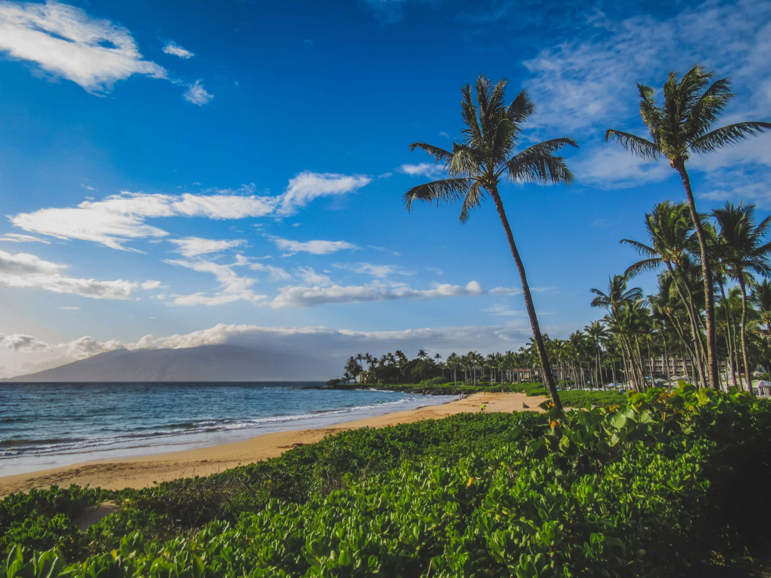 Condo in Kihei · ★4.95 · 1 bedroom · 2 beds · 1 bath - Image 28