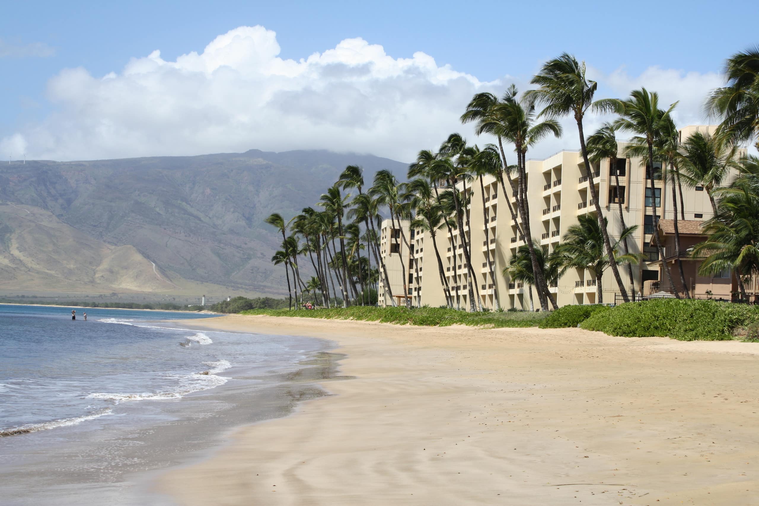 Condo in Kihei · ★4.95 · 1 bedroom · 2 beds · 1 bath - Image 17