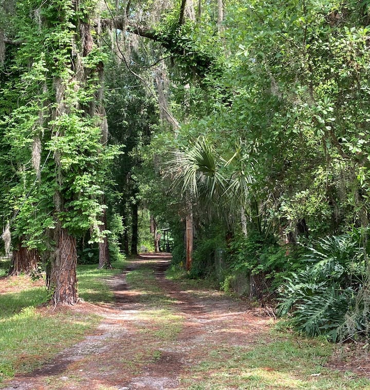 Mulberry Cabin Rentals Cabins and More Airbnb