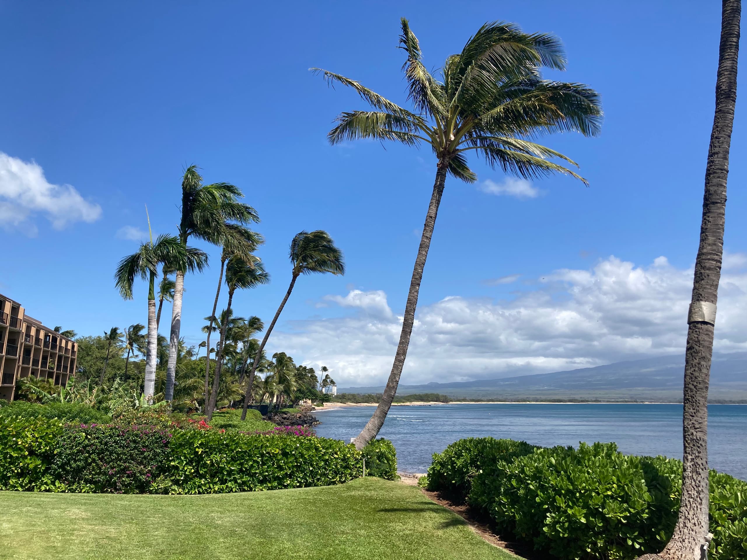Condo in Wailuku · ★4.9 · 1 bedroom · 2 beds · 1 bath - Image 17