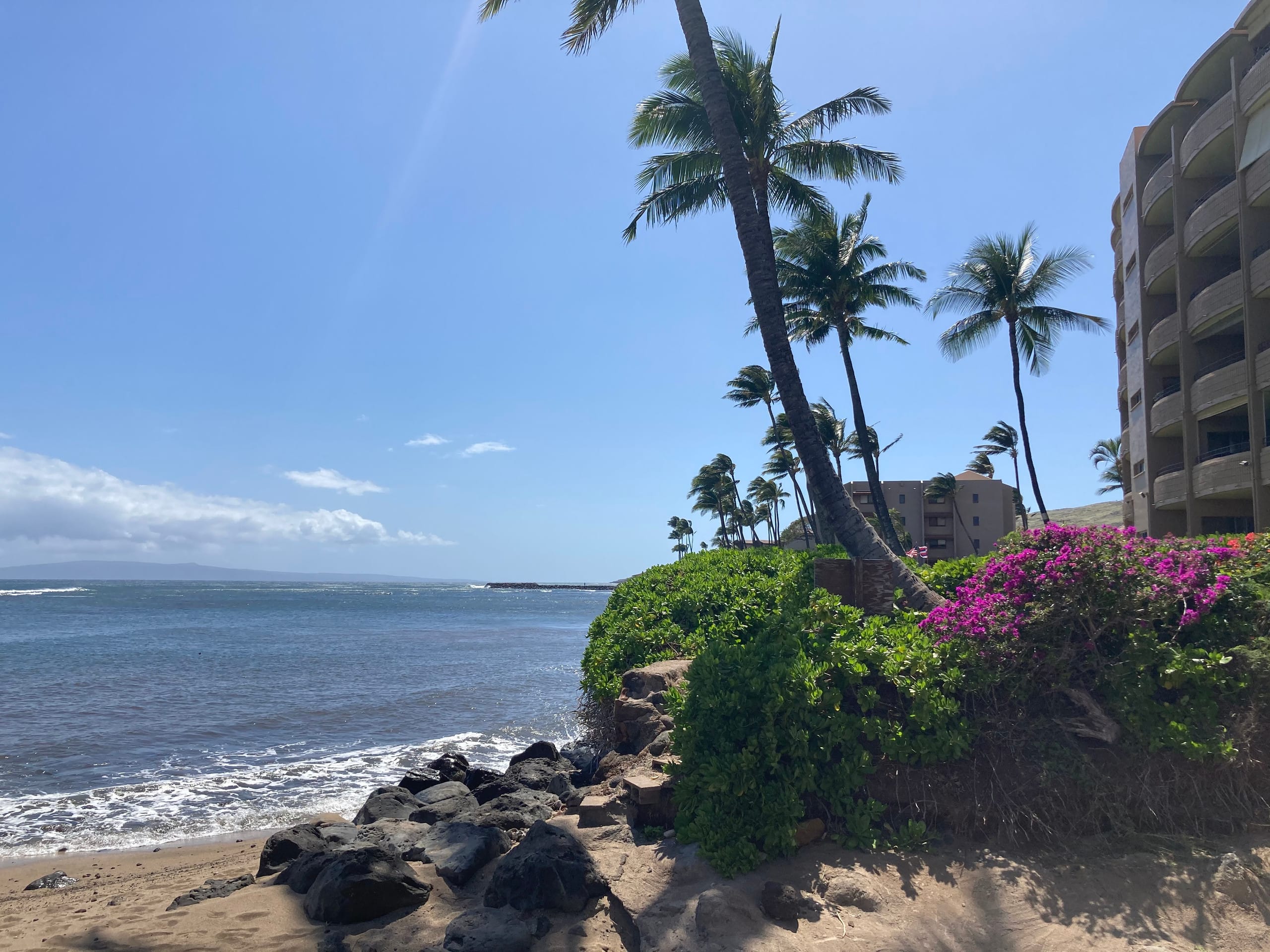 Condo in Wailuku · ★4.9 · 1 bedroom · 2 beds · 1 bath - Image 16