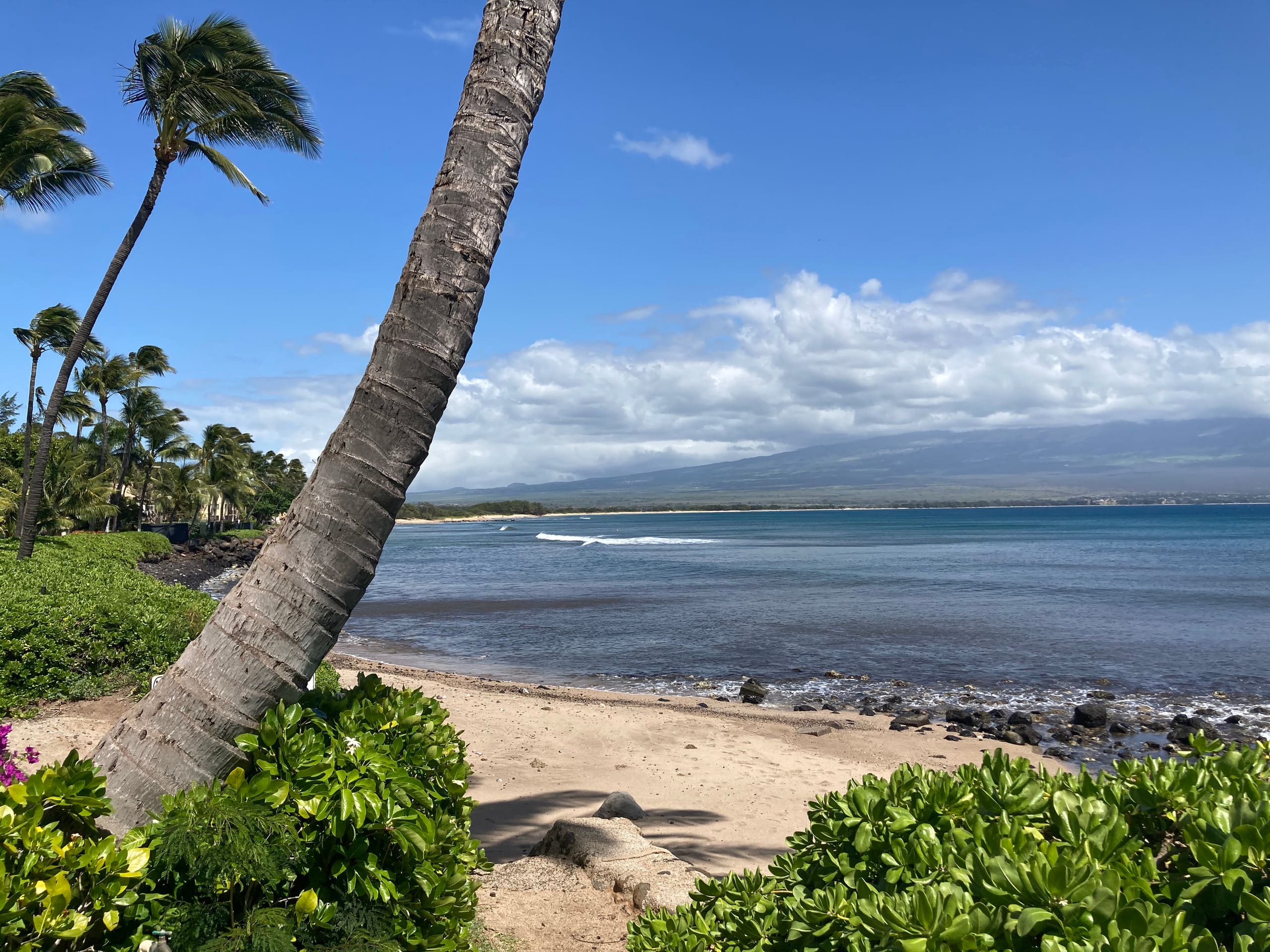 Condo in Wailuku · ★4.9 · 1 bedroom · 2 beds · 1 bath - Image 15