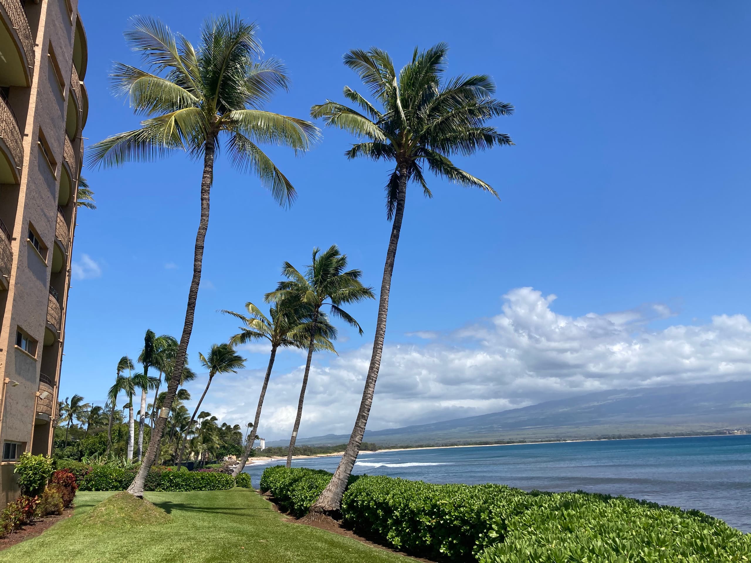 Condo in Wailuku · ★4.9 · 1 bedroom · 2 beds · 1 bath - Image 18