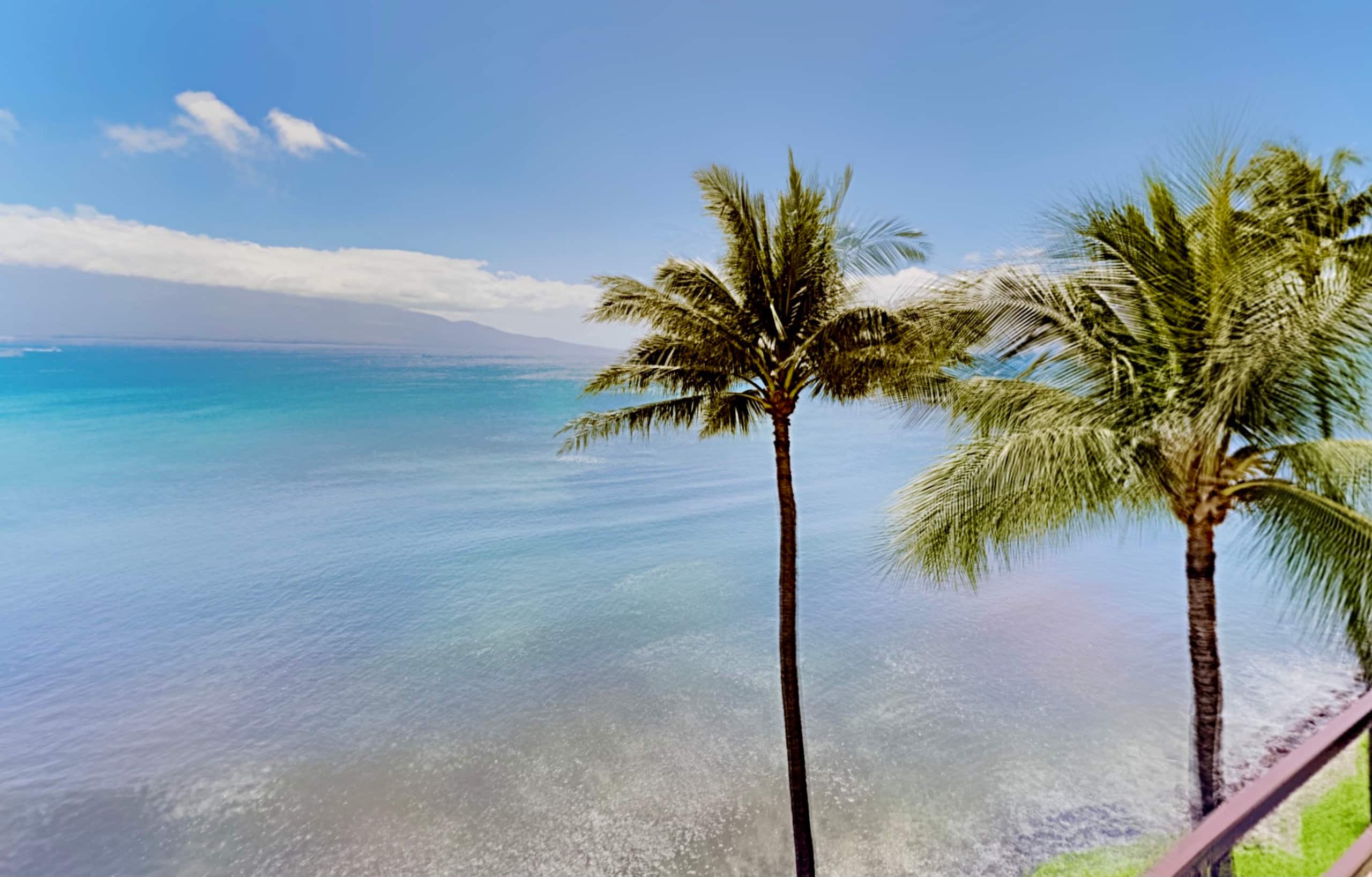 Condo in Wailuku · ★4.9 · 1 bedroom · 2 beds · 1 bath - Image 23