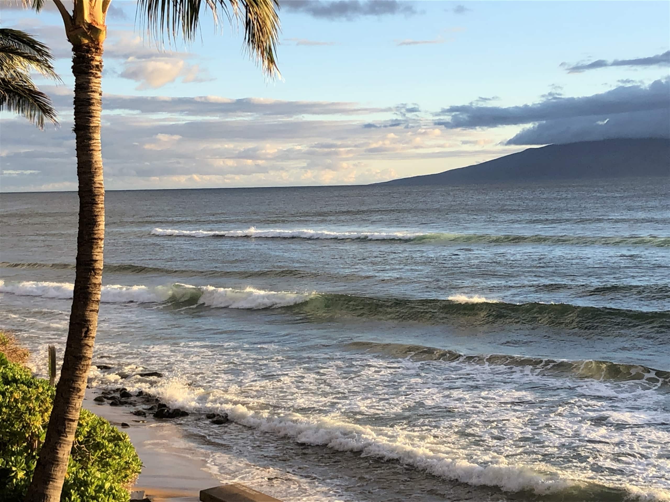 Condo in Lahaina · ★4.81 · Studio · 1 bed · 1 bath - Image 14