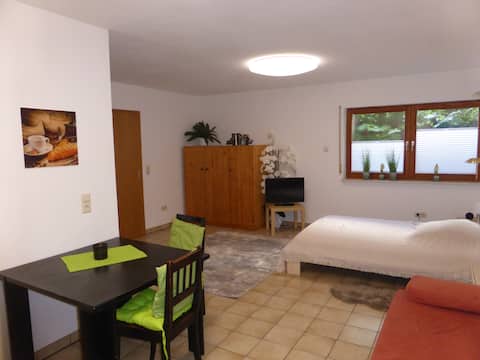 pretty single flyer apartment in Rheinfelden Nollingen