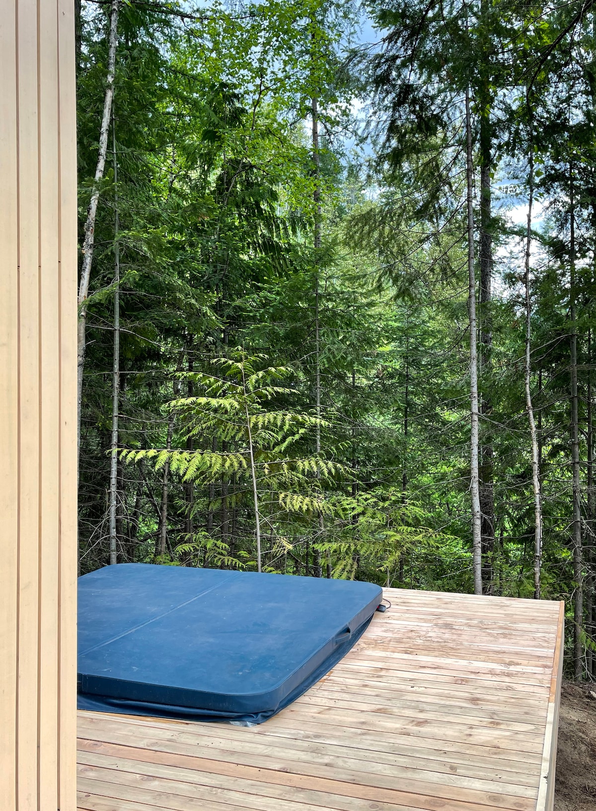 A wooden deck is equipped with a built-in hot tub, surrounded by tall, lush green trees. The natural scenery provides a sense of privacy and tranquility, inviting relaxation in a forested setting.
