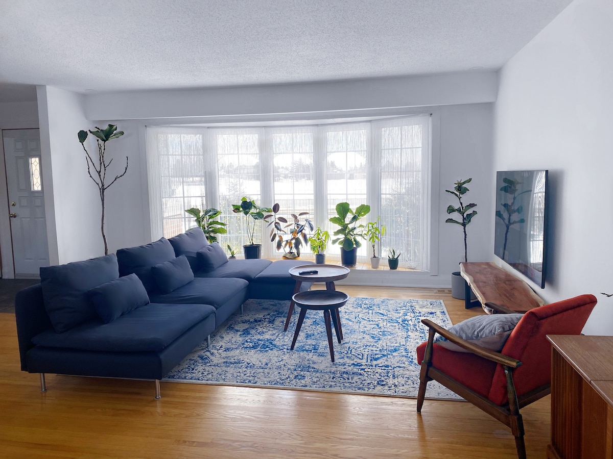 A spacious living room features a large sectional sofa and an accent chair, surrounded by several indoor plants. Natural light floods in through large windows, illuminating a wooden coffee table placed on a patterned area rug. A flat-screen television is mounted on the wall.