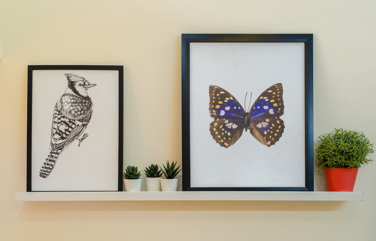 Two framed artworks are displayed on a simple white shelf. On the left, a monochrome sketch of a bird is presented, while the right features a colorful butterfly illustration. Small green potted plants complement the artworks, adding a touch of greenery to the arrangement.