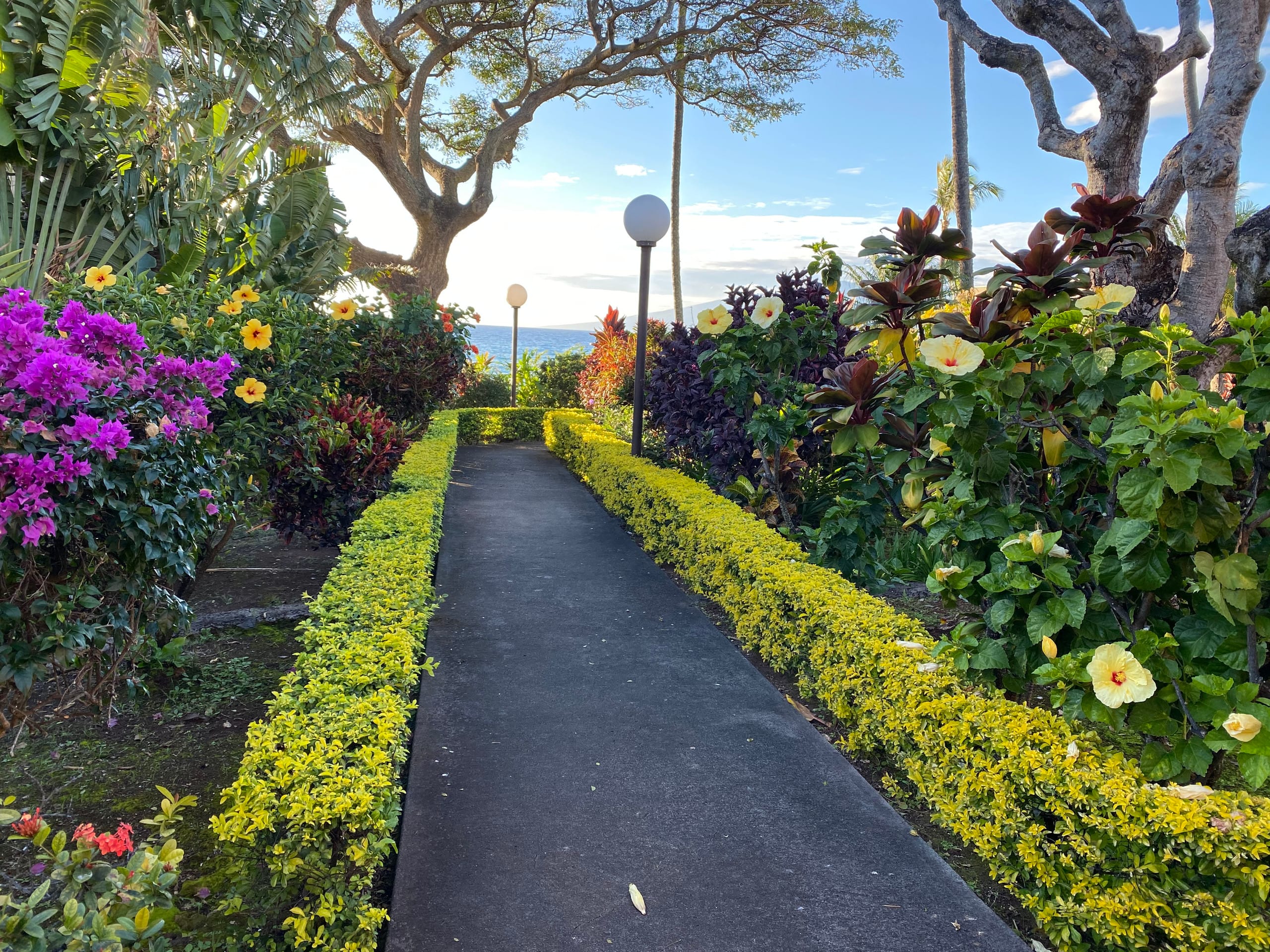 Condo in Lahaina · ★4.97 · 1 bedroom · 1 bed · 1 bath - Image 10