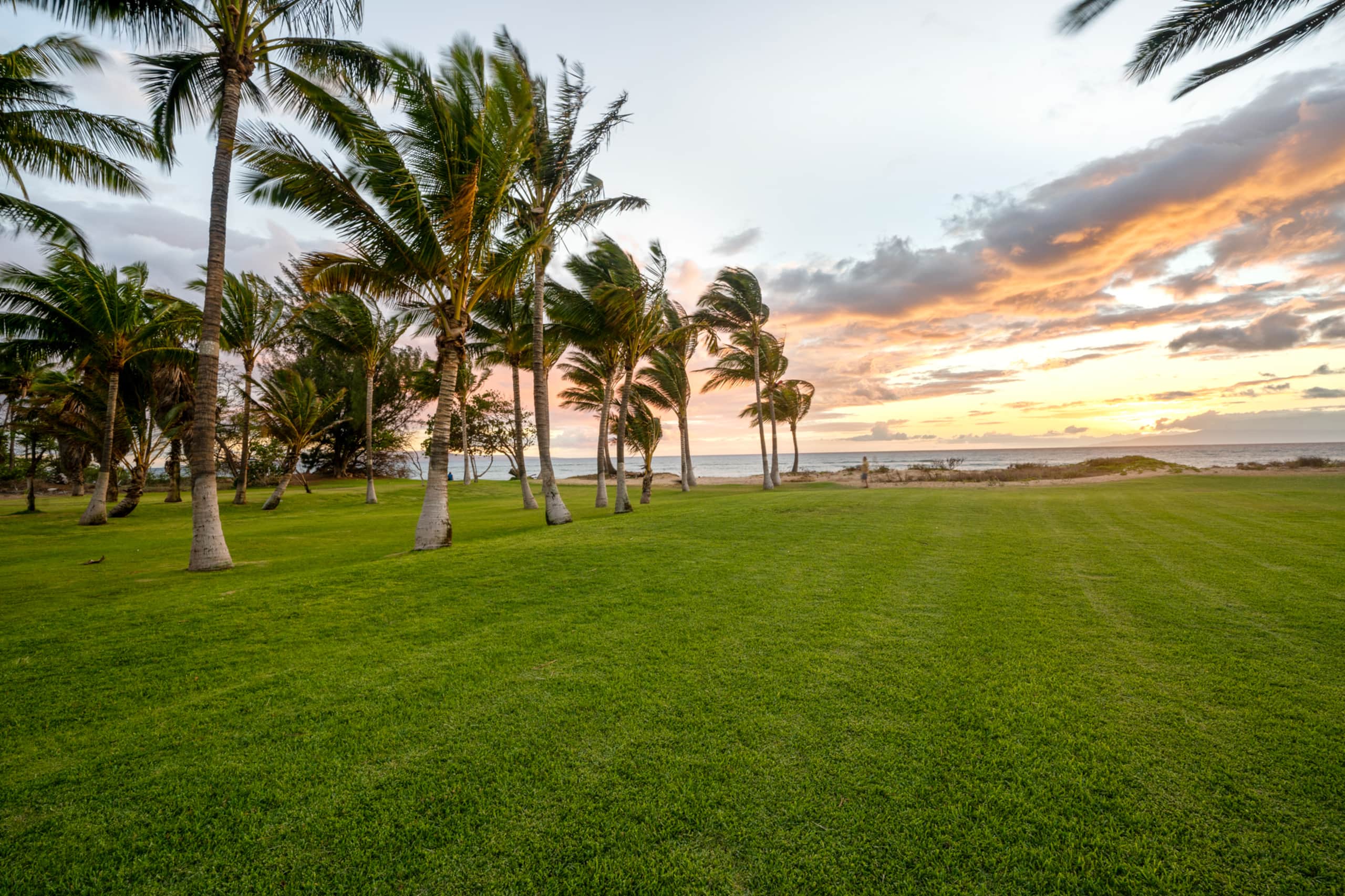 Home in Kihei · ★4.9 · 2 bedrooms · 2 beds · 2 baths - Image 21