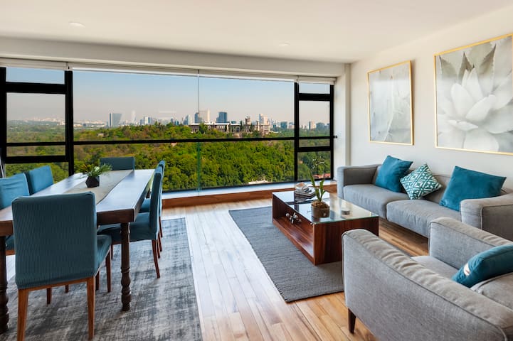 Breathtaking view to Chapultepec park