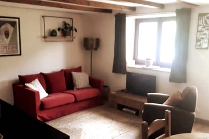 2 Bed Apartment, 5 Mins From Morzine - Saint-Jean-d'Aulps