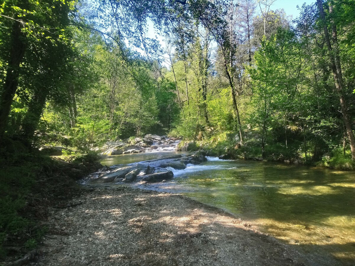 A serene river flows through a wooded area, surrounded by lush green trees. Smooth rocks are visible along the water's edge, with sunlight filtering through the leaves. The clear water reflects the natural beauty of the surroundings, inviting peaceful contemplation.