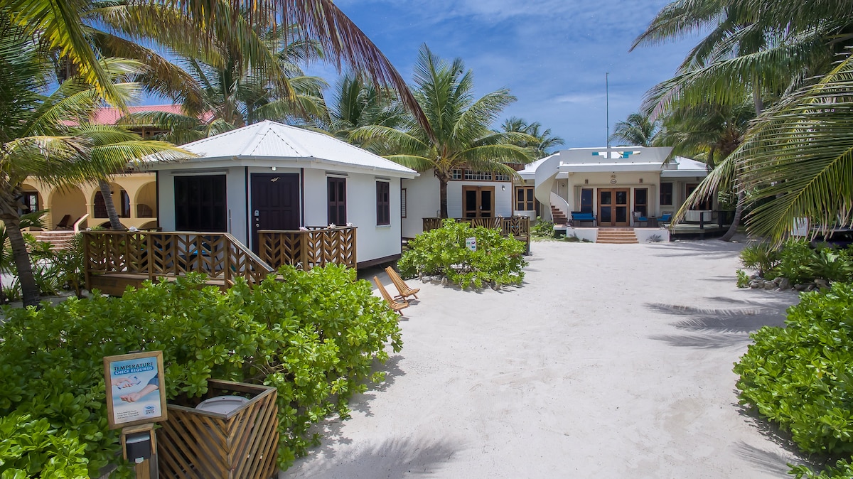 The image displays a sandy pathway leading to individual cabanas surrounded by lush greenery and palm trees. Each cabana features a welcoming porch, and the main building is visible in the background, all under a clear blue sky.