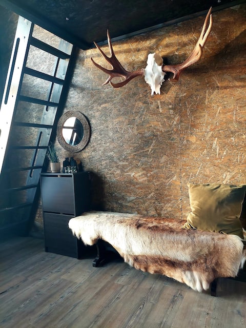 Popular Airbnb listing: Cozy cottage with sea view and sauna in Österbotten