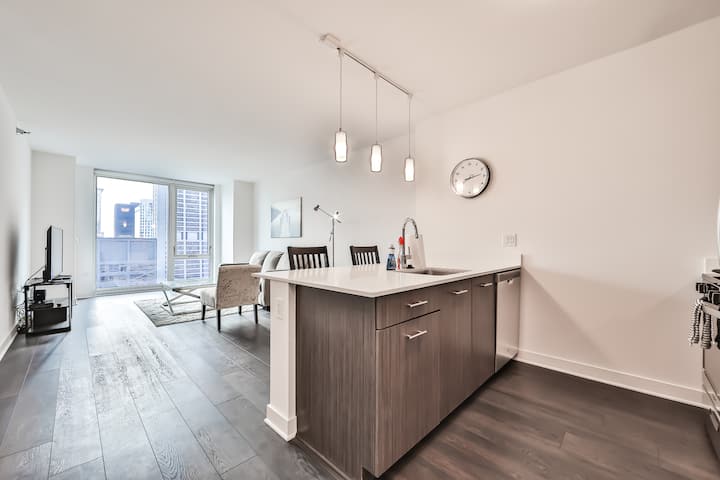 Large 1br In The Heart Of Downtown~king Bed - Chicago, IL
