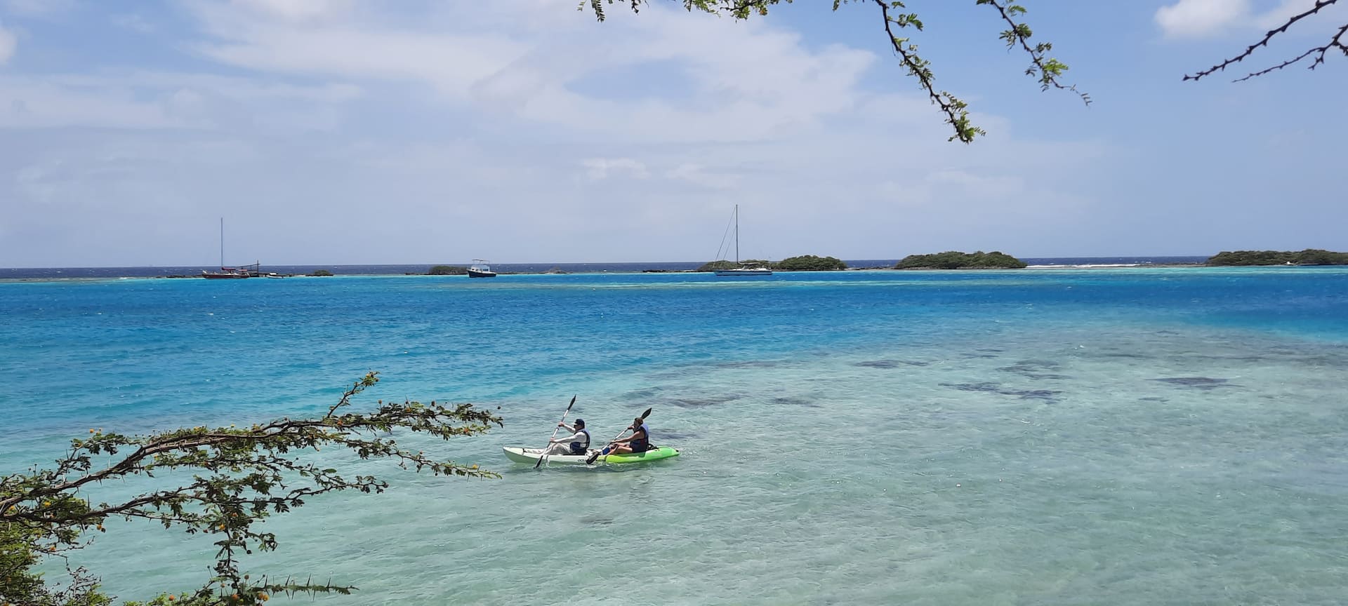 Strea di lama close to the beach and center of Aruba