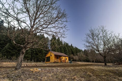 Wood Cabin by the River | for Nature Lovers