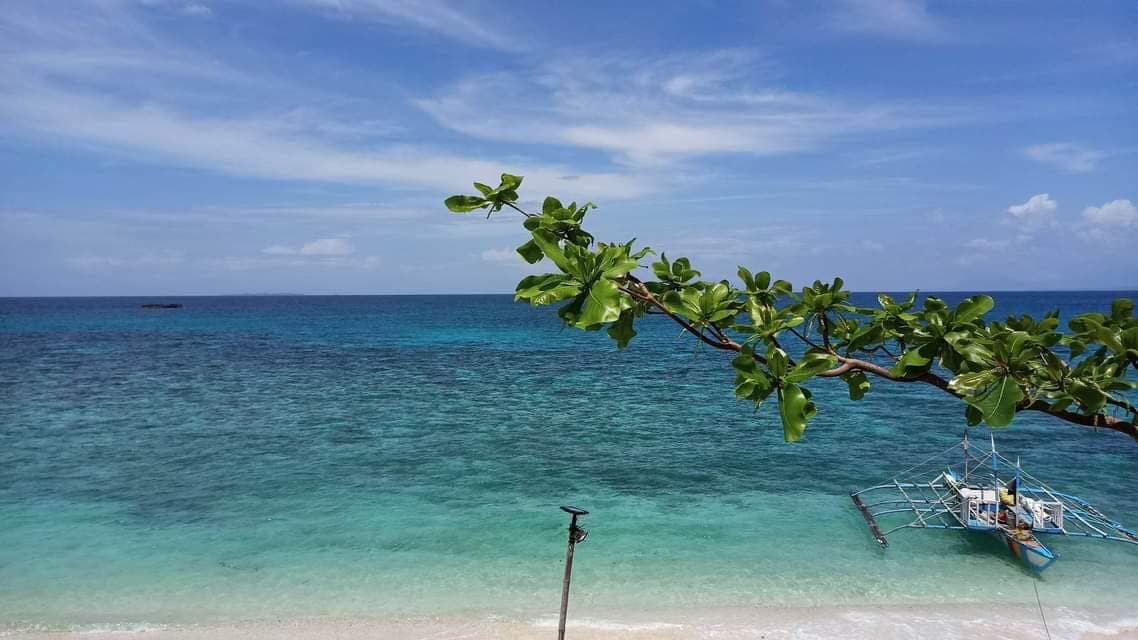 A serene beach scene is captured, showcasing calm turquoise waters meeting a sandy shore. Lush green leaves from a nearby branch frame the view, while distant boats can be seen on the water. The sky is bright and dotted with soft clouds.