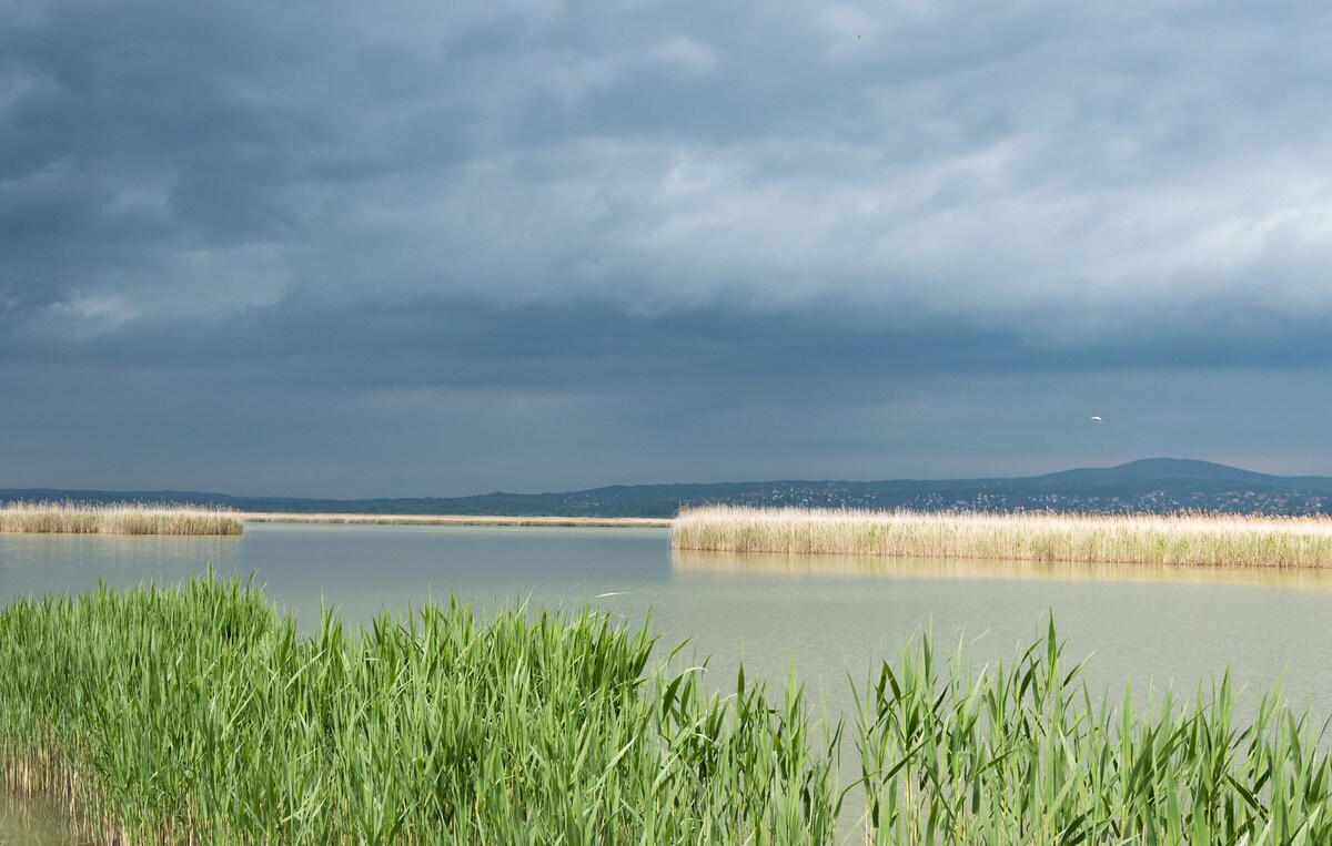 The image captures a serene body of water bordered by lush green reeds. The clouds overhead create a dramatic sky, adding depth to the horizon. Distant hills are faintly visible, enhancing the tranquil natural scenery.