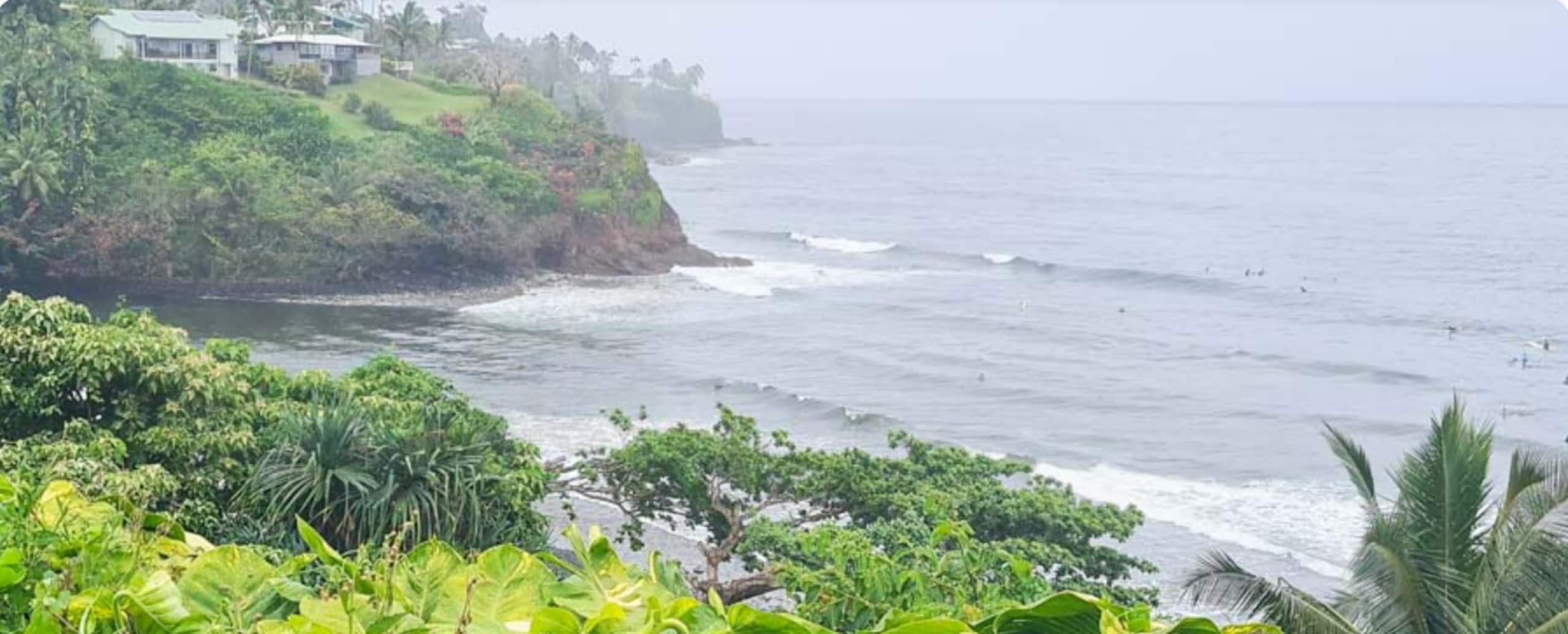 Private Studio short walk to Hakalau Beach Hamakua - Photo 30