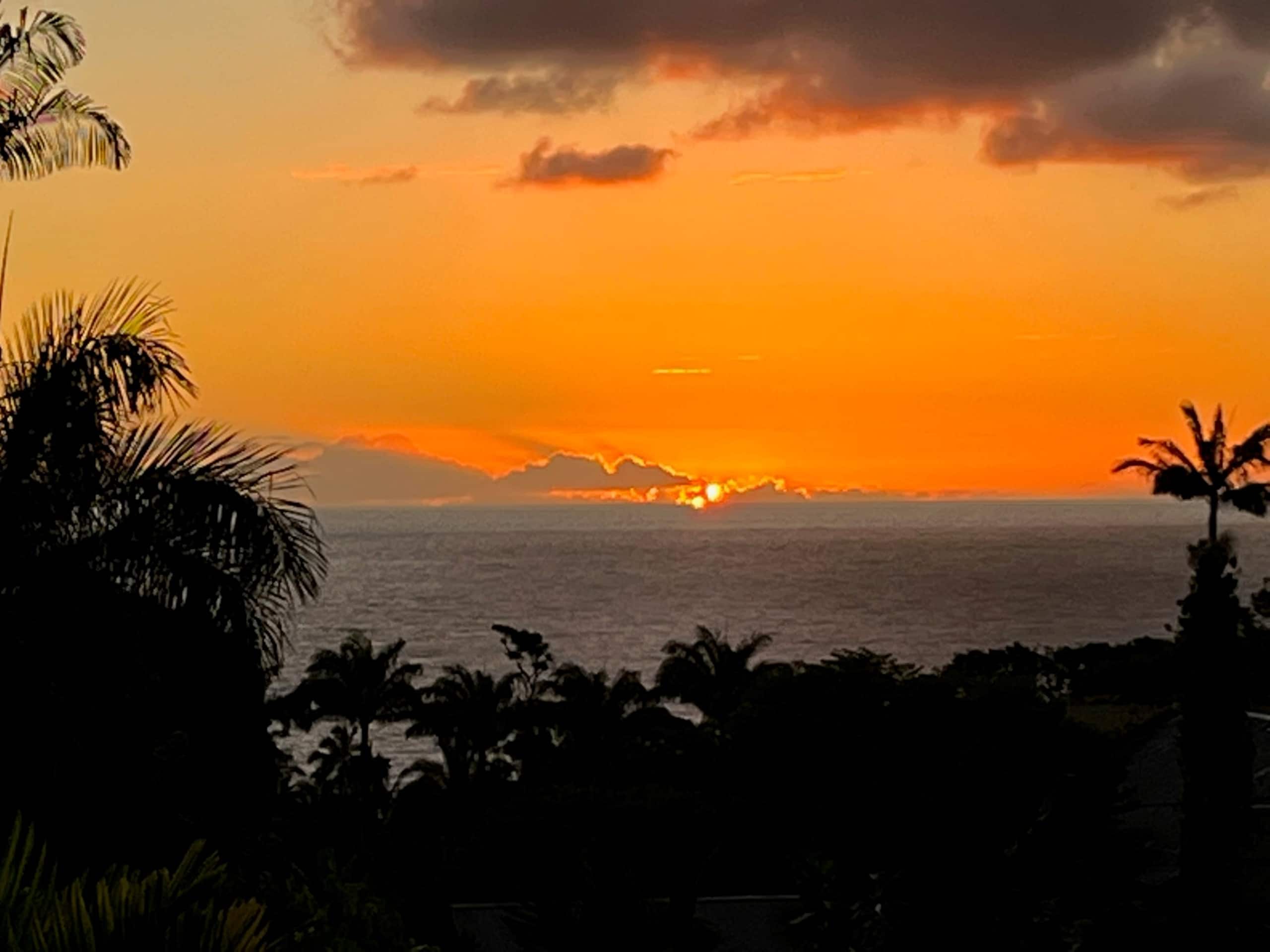 Private Studio short walk to Hakalau Beach Hamakua - Photo 15