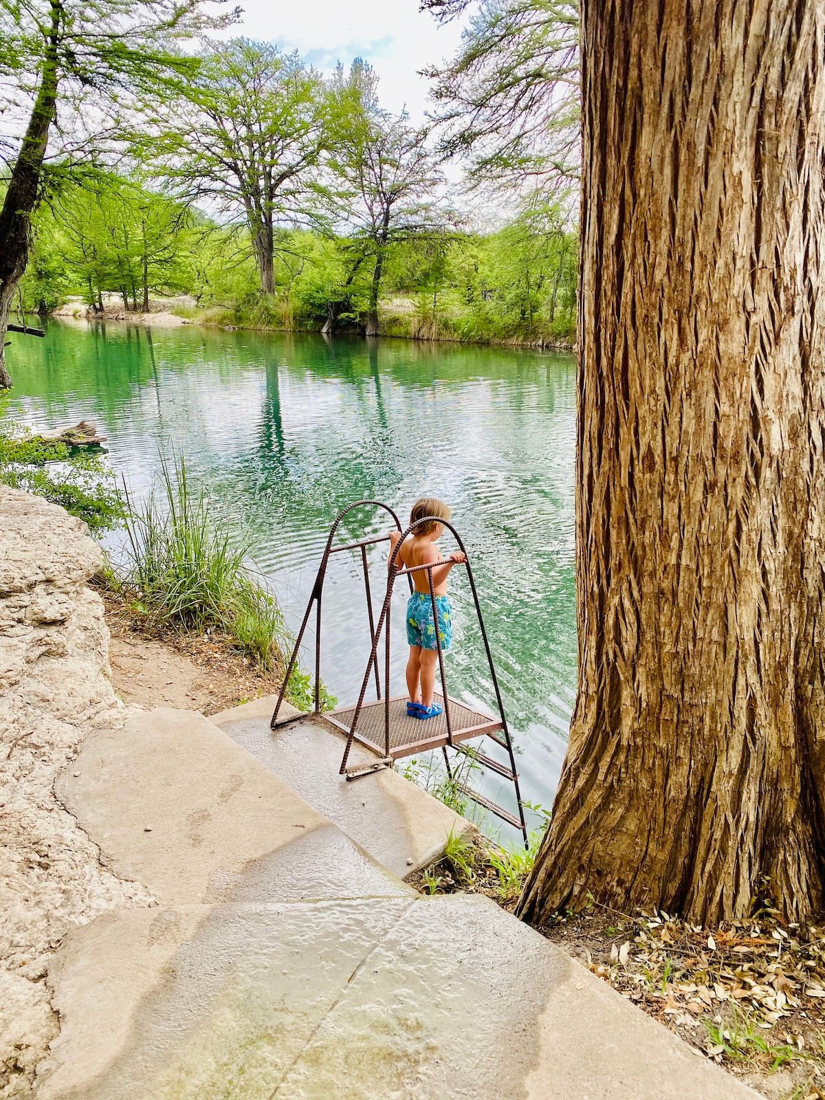 A child stands on a metal ladder leading into the clear, calm waters of the Frio River. Lush greenery surrounds the riverbank, and a large tree provides shade nearby, with steps leading up from the water's edge.