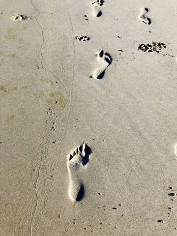 Beach Villa w Sea View & 100 m to Paradise Beach gallery image 3