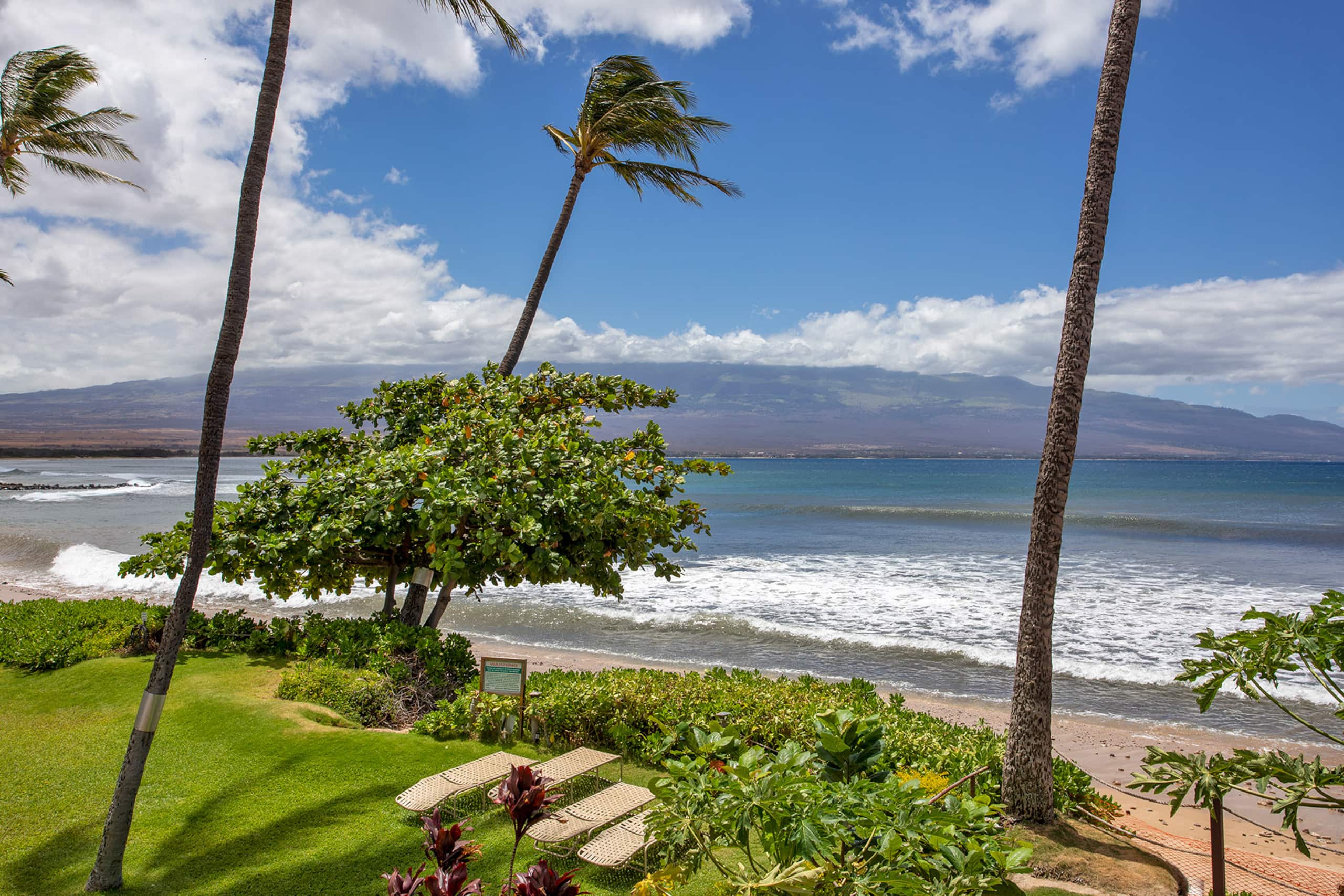 Condo in Wailuku · ★4.84 · 2 bedrooms · 4 beds · 2 private baths - Image 32