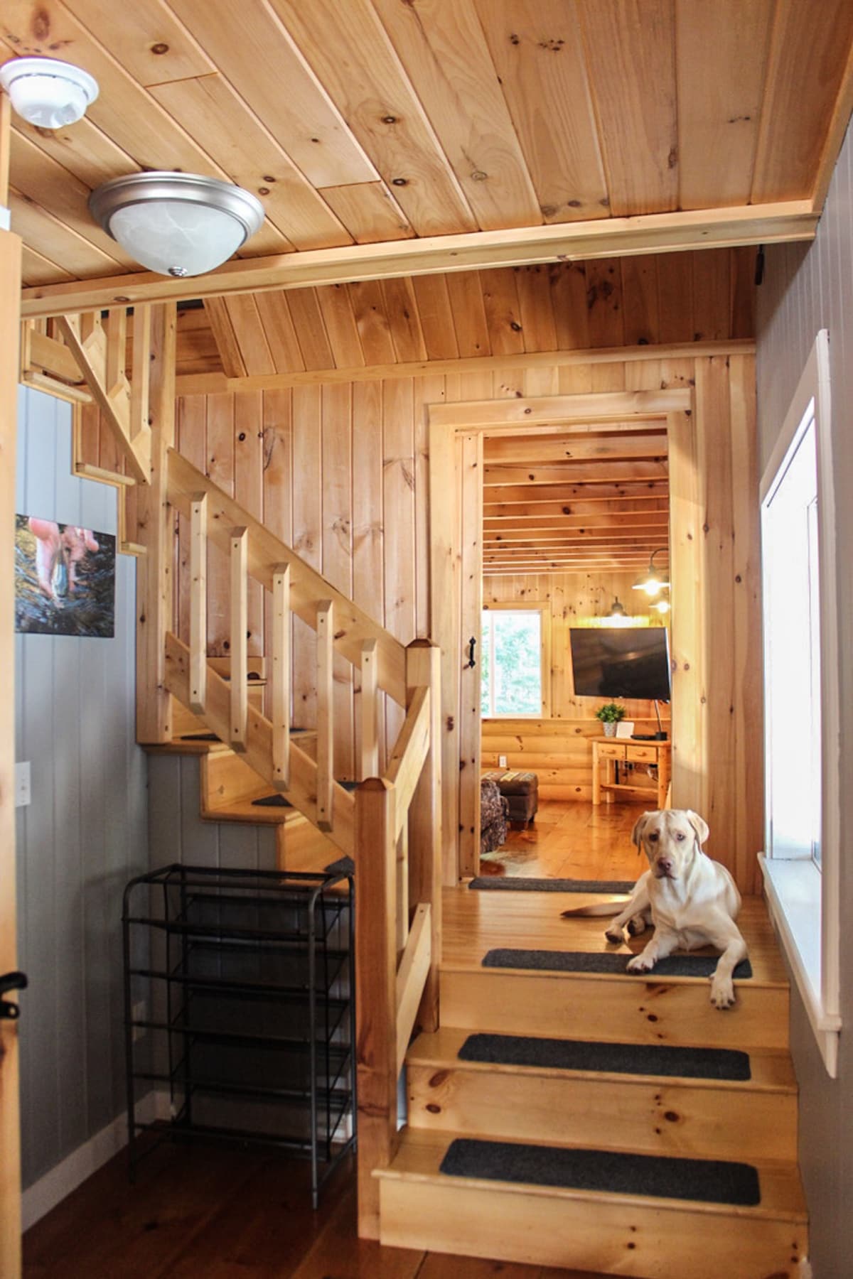 An entryway features natural wood paneling and a wooden staircase leading to the upper level. A decorative rack is positioned near the entrance. A calm dog is resting on the steps, creating a welcoming atmosphere. Soft lighting is observed in the background, hinting at a cozy space.