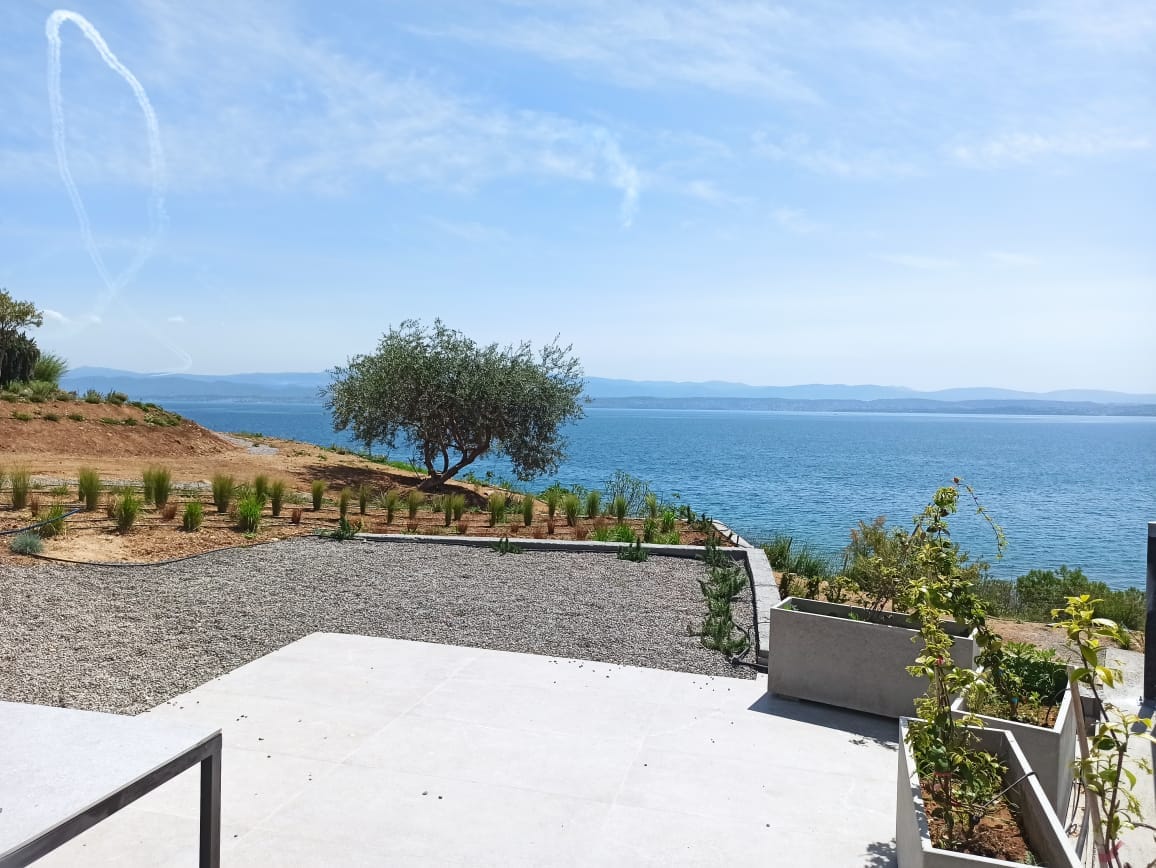 A spacious outdoor area features a mix of gravel and low-rise Mediterranean plants, enhancing the serene environment. A solitary olive tree is visible, providing a natural focal point against the expansive sea view that stretches out toward the horizon.