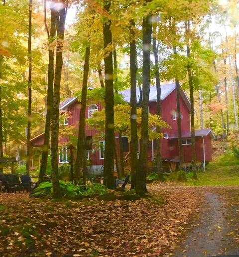 The Red Haus, Land O Lakes, ON