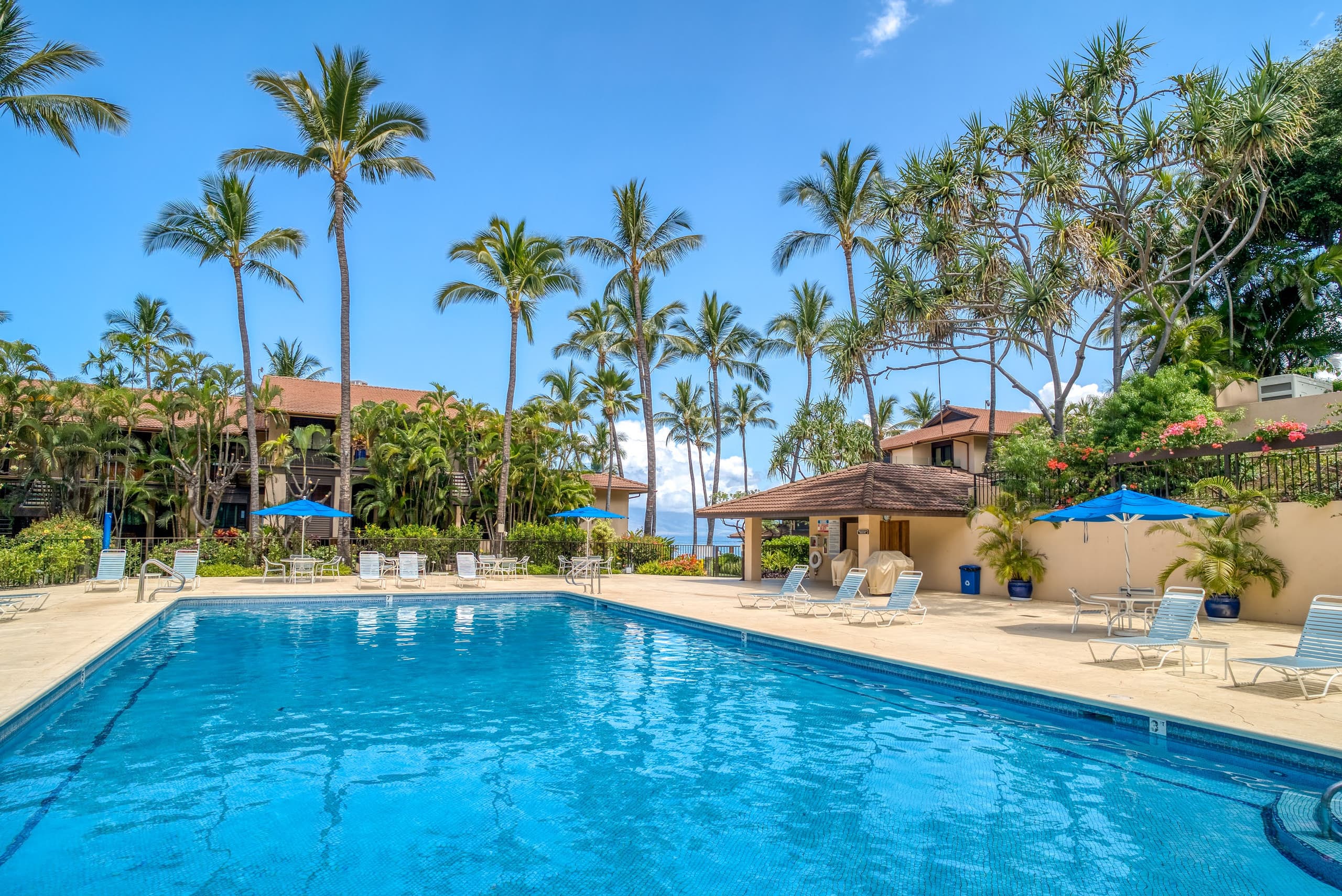 Condo in Kihei · ★4.96 · 2 bedrooms · 2 beds · 2 baths - Image 42