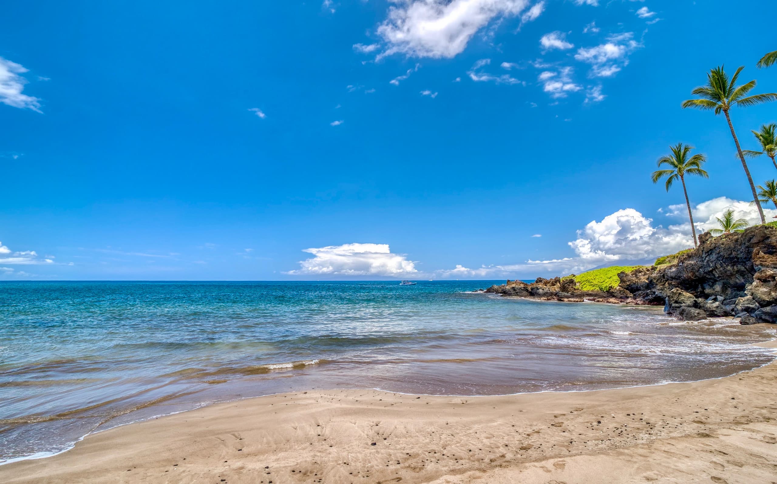 Condo in Kihei · ★4.96 · 2 bedrooms · 2 beds · 2 baths - Image 40
