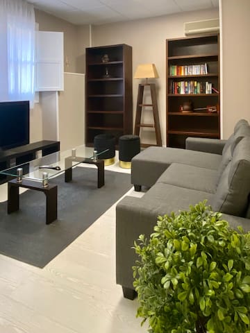 Entire apartment in La Latina